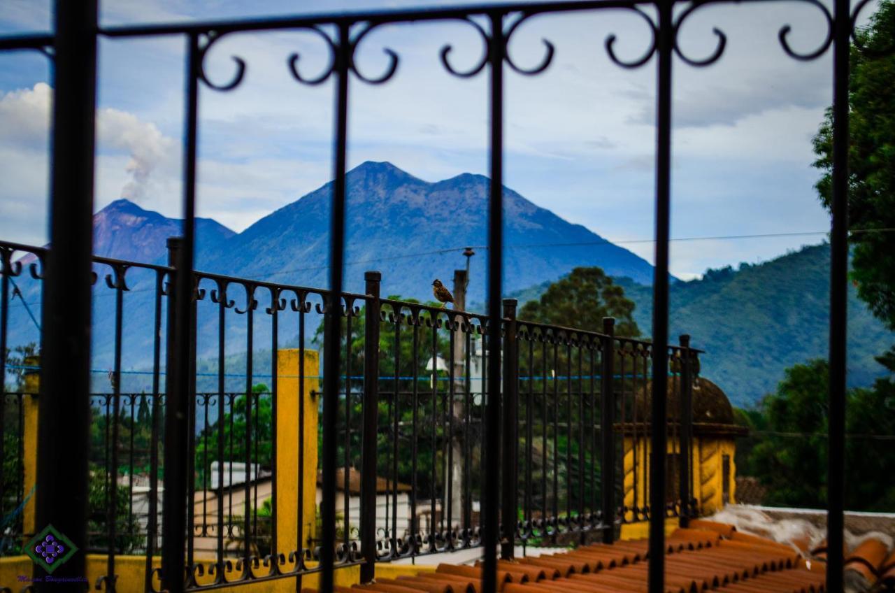 Maison Bougainvillea Antigua Eksteriør bilde