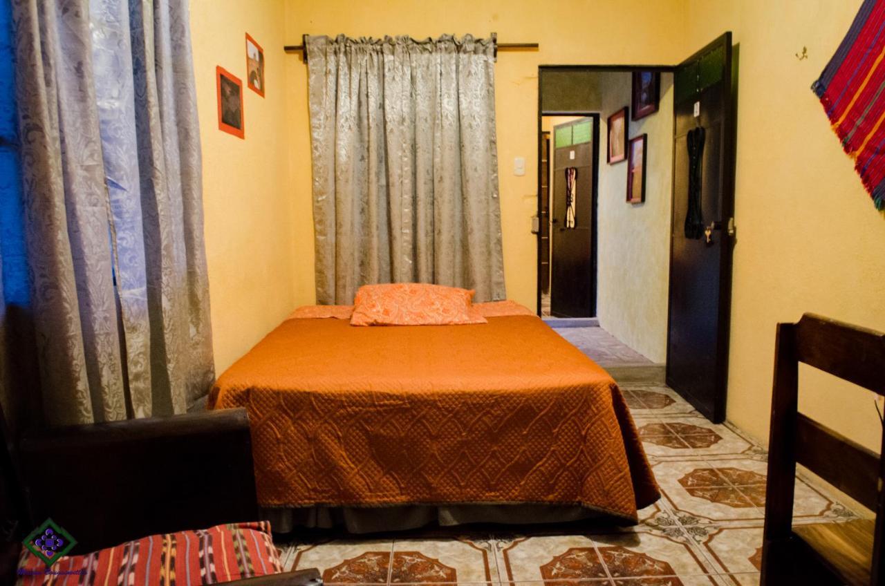 Maison Bougainvillea Antigua Eksteriør bilde