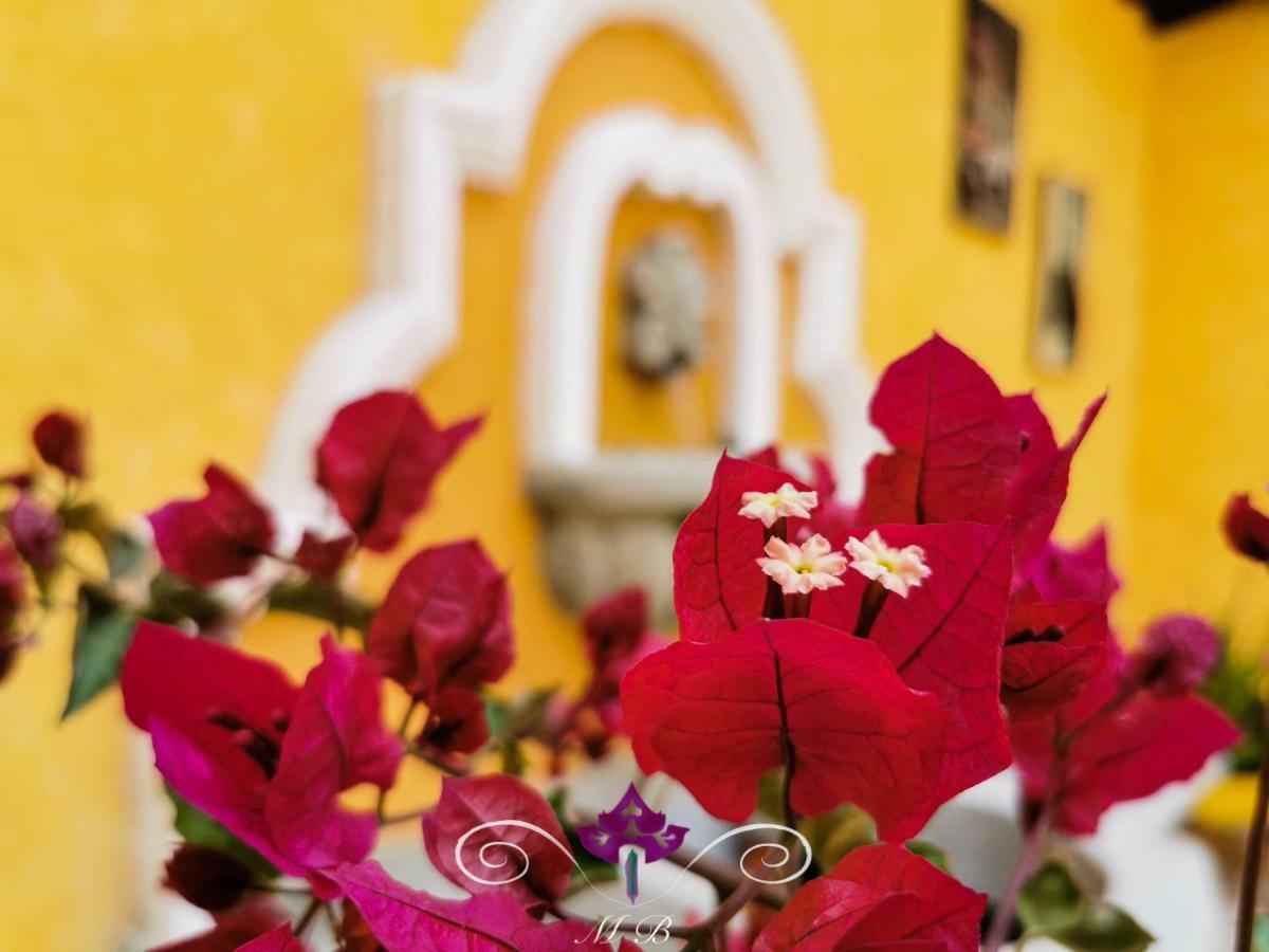 Maison Bougainvillea Antigua Eksteriør bilde